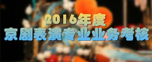 天堂网啊啊啊国家京剧院2016年度京剧表演专业业务考...